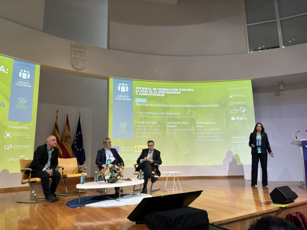 i+porc Cluster español de productores de ganado porcino i+porc Cluster español de productores de ganado porcino