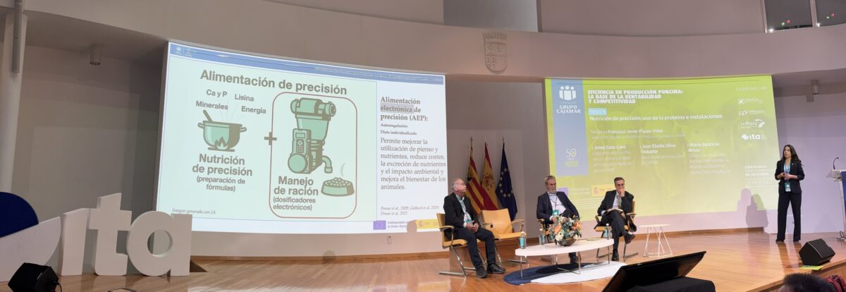 i+porc Cluster español de productores de ganado porcino i+porc Cluster español de productores de ganado porcino