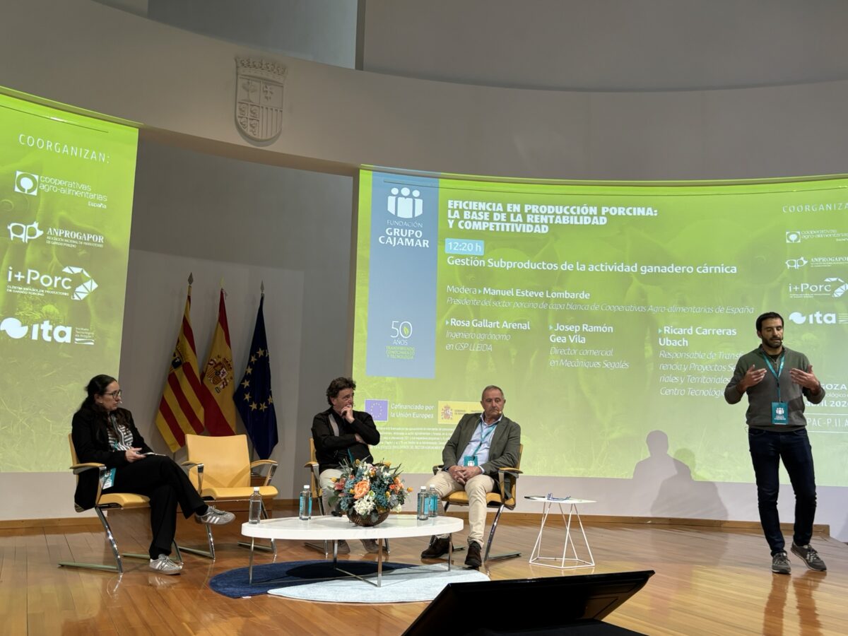 i+porc Cluster español de productores de ganado porcino i+porc Cluster español de productores de ganado porcino