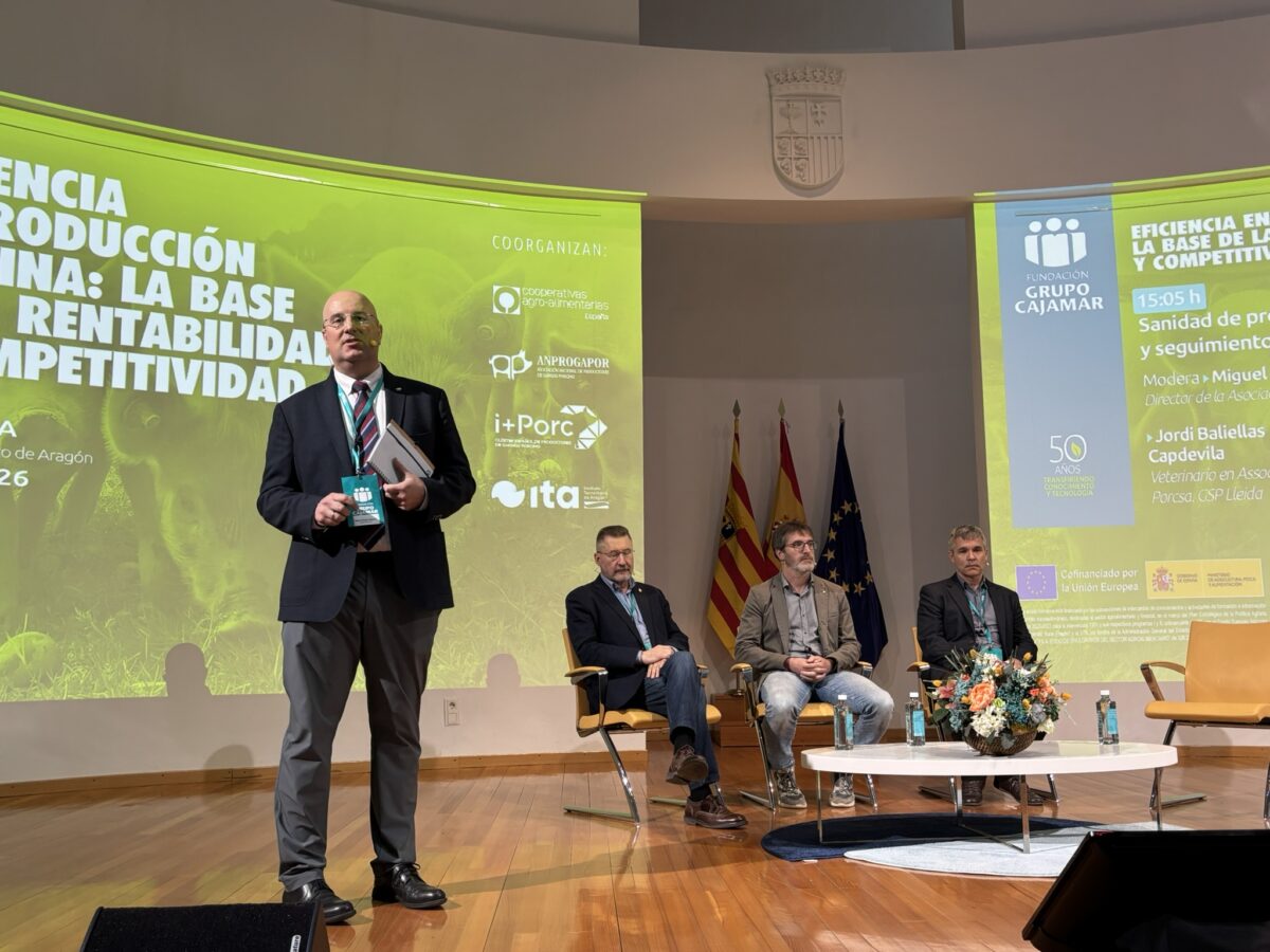 i+porc Cluster español de productores de ganado porcino i+porc Cluster español de productores de ganado porcino