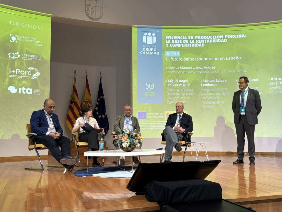 i+porc Cluster español de productores de ganado porcino i+porc Cluster español de productores de ganado porcino