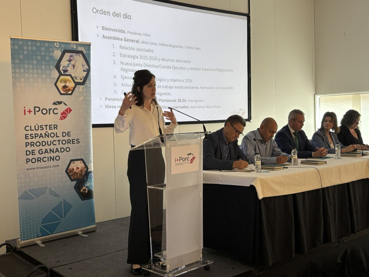 i+porc Cluster español de productores de ganado porcino