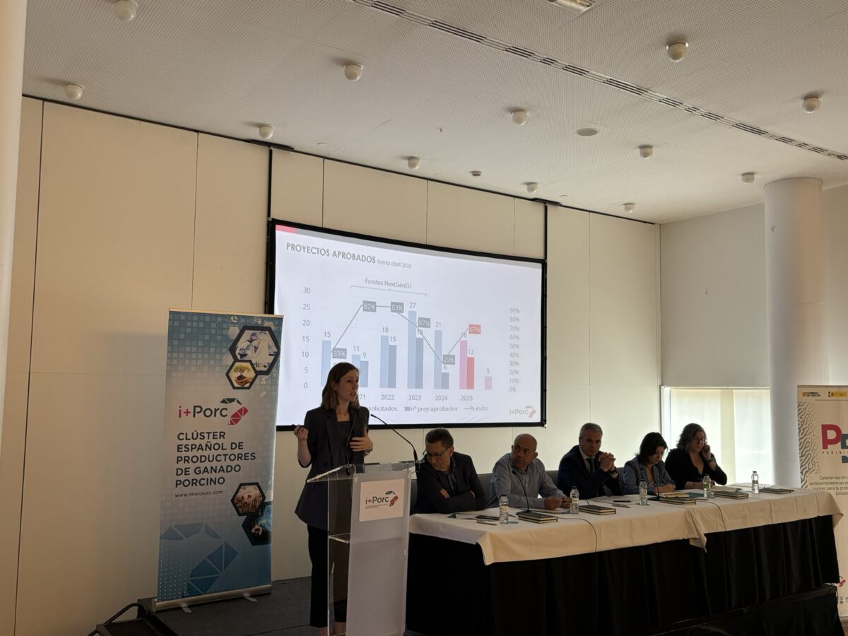 i+porc Cluster español de productores de ganado porcino
