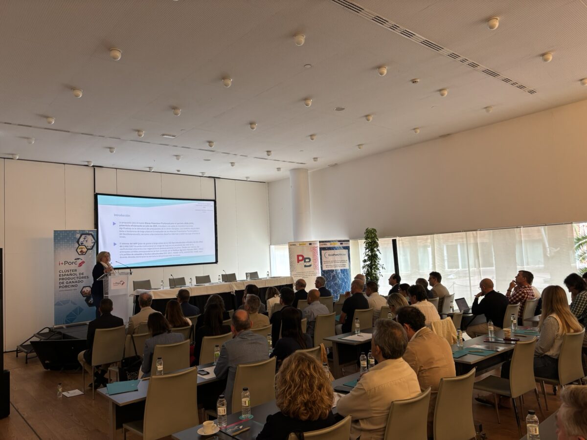 i+porc Cluster español de productores de ganado porcino