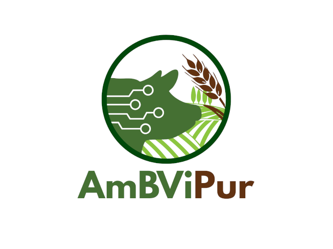 Proyecto I+D+i: AMBVIPUR