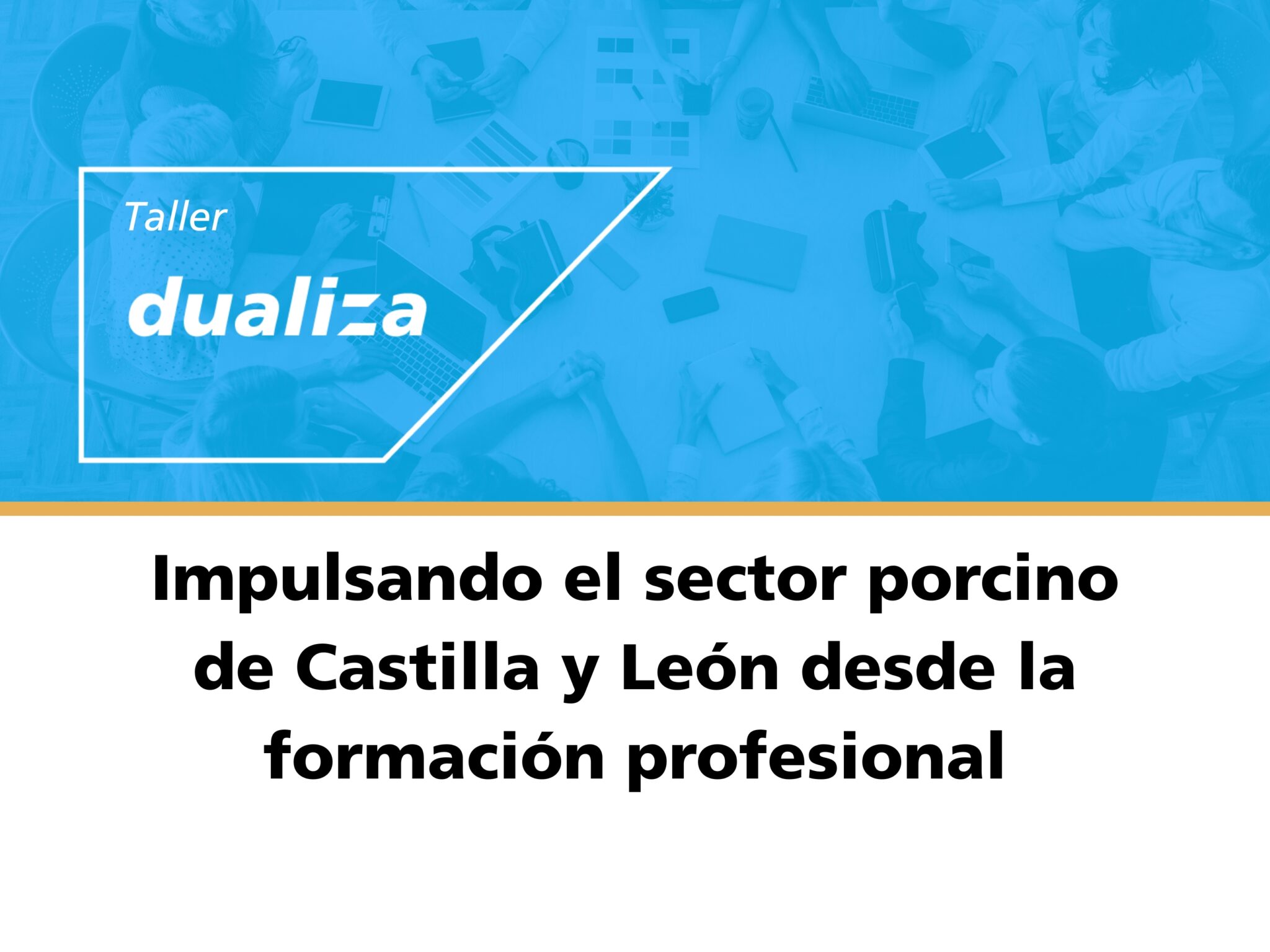 i+porc Cluster español de productores de ganado porcino i+porc Cluster español de productores de ganado porcino