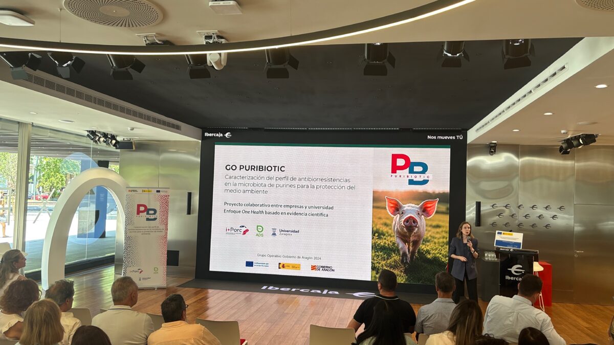 i+porc Cluster español de productores de ganado porcino i+porc Cluster español de productores de ganado porcino